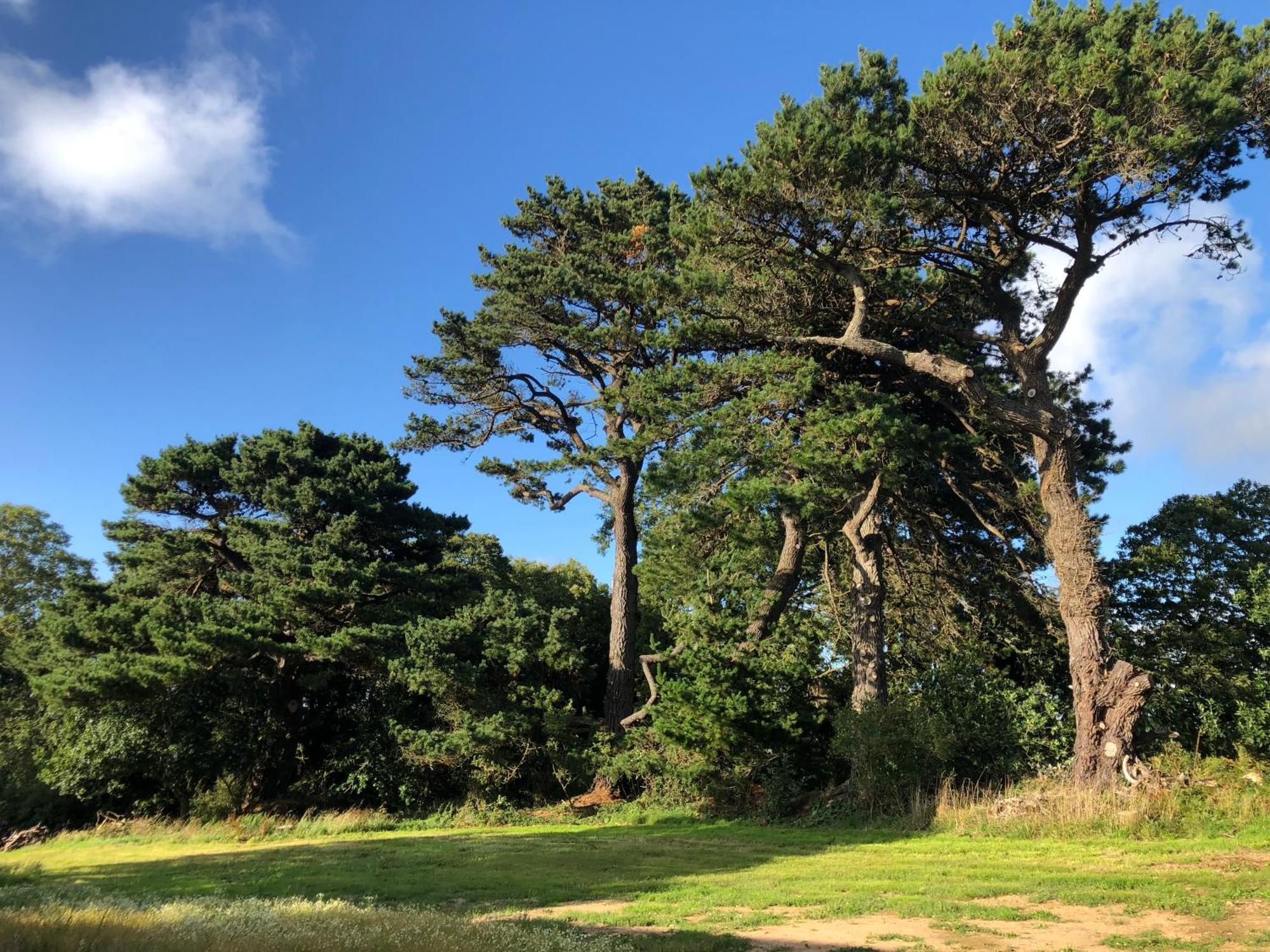 Les Ecolodges Sous Le Phare Louannec 외부 사진
